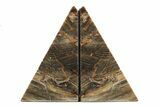 Polished Petrified Wood Bookends - Washington #240771-1